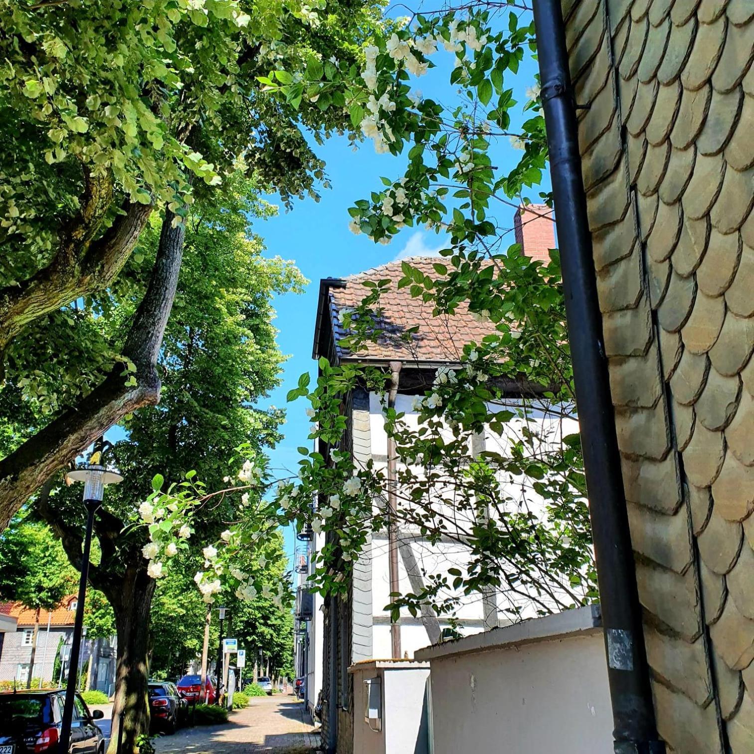 Stadt Land Fluss Plus Арнсберг Экстерьер фото